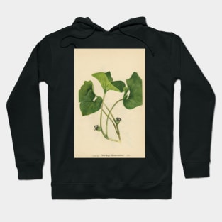 Wild Ginger-Available As Art Prints-Mugs,Cases,Duvets,T Shirts,Stickers,etc Hoodie